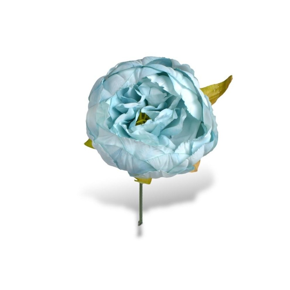 PEONIA CELESTE STELO CM10XD11